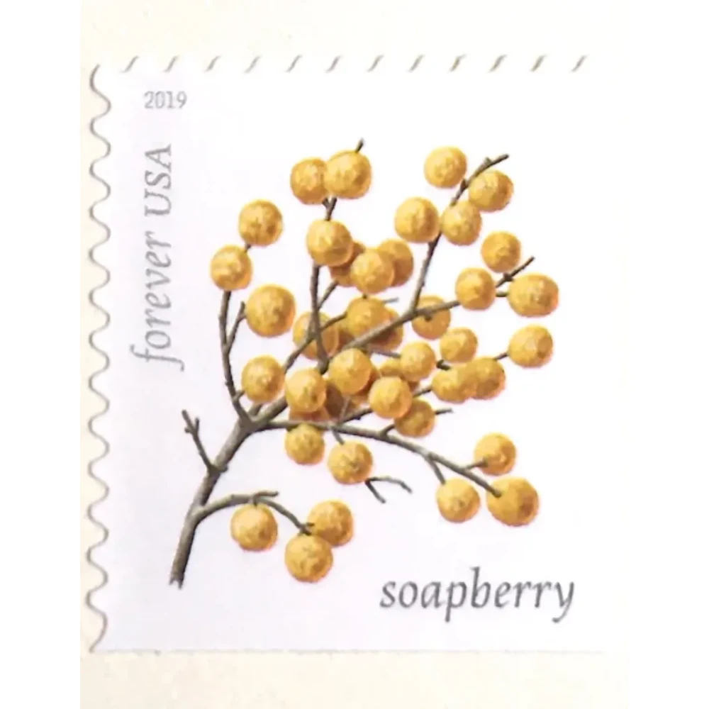 (2019) USPS Winter Berries First Class Forever Postage Stamps