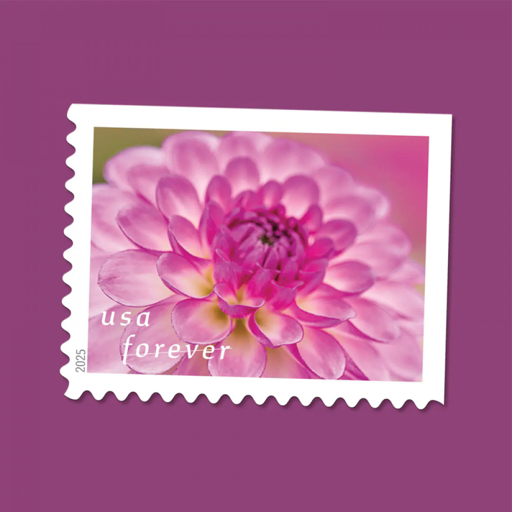 2025 Dahlias Stamps Book of 20